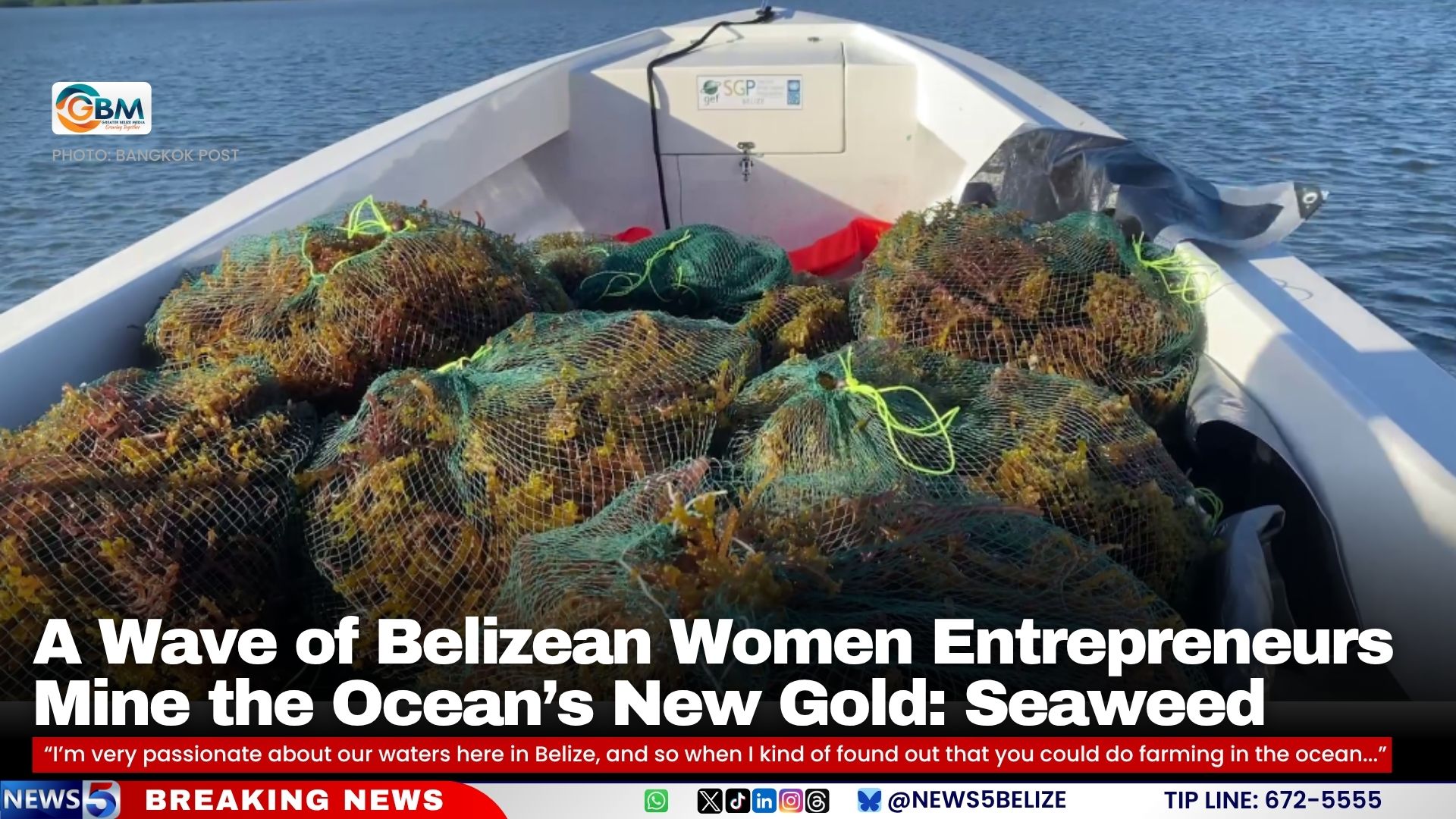 A Wave of Belizean Women Entrepreneurs Mine the Ocean’s New Gold: Seaweed