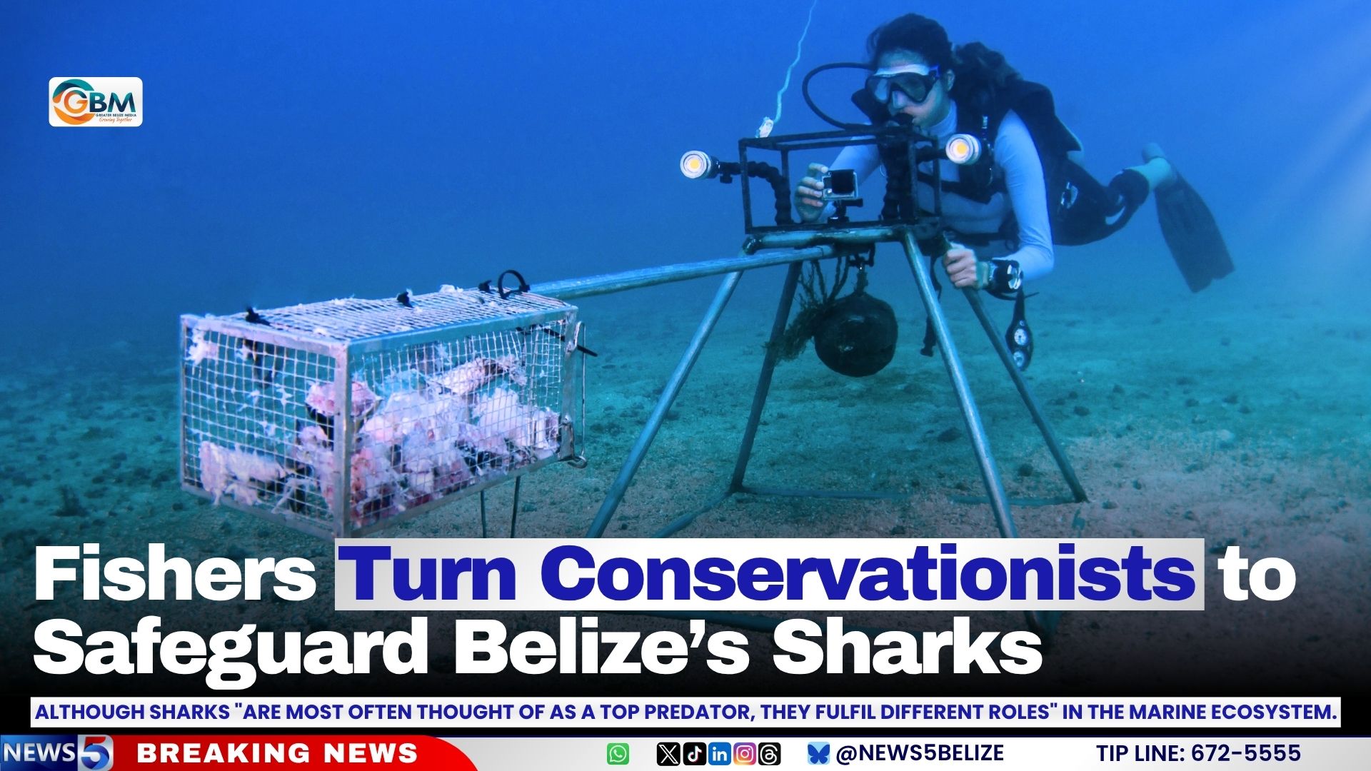 Fishers Turn Conservationists to Safeguard Belize’s Sharks