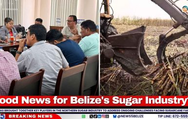 Good News for Belize's Sugar Industry?