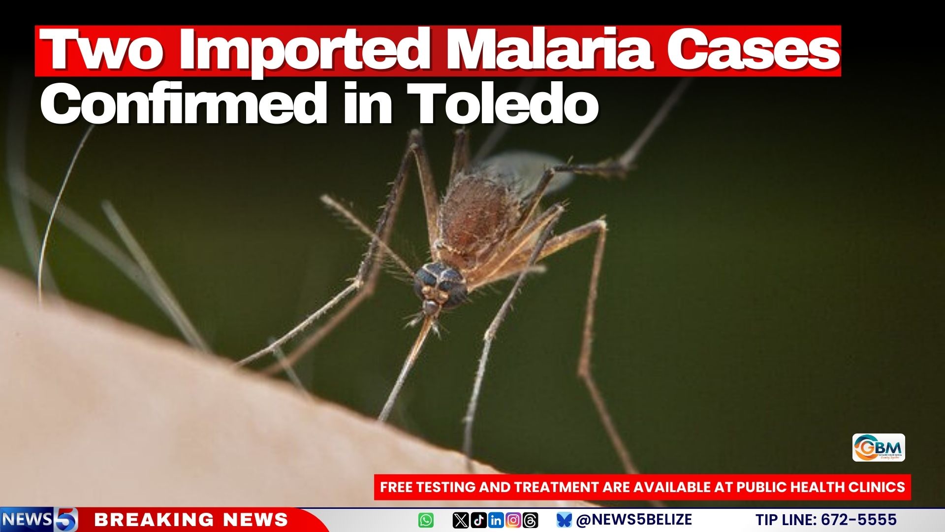 Two Imported Malaria Cases Confirmed in Toledo