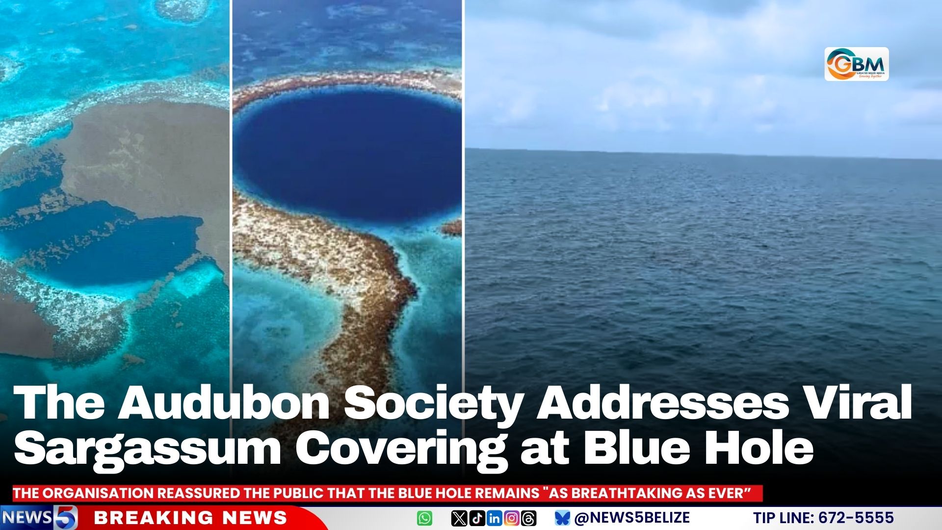 The Audubon Society Addresses Viral Sargassum Covering at Blue Hole