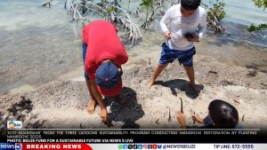 Three Lagoons Eco Guardians: Eight Years of Protecting Coastlines and Mangroves