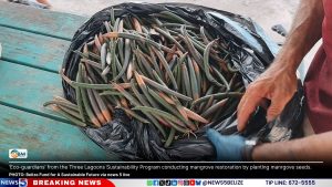 Three Lagoons Eco Guardians: Eight Years of Protecting Coastlines and Mangroves