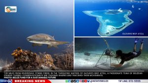 Fishers Turn Conservationists to Safeguard Belize’s Sharks