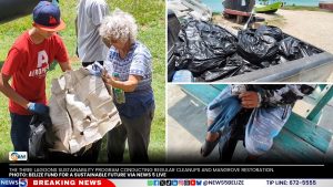 Three Lagoons Eco Guardians: Eight Years of Protecting Coastlines and Mangroves