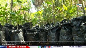 When Protecting Nature Becomes the Adventure