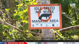 When Protecting Nature Becomes the Adventure