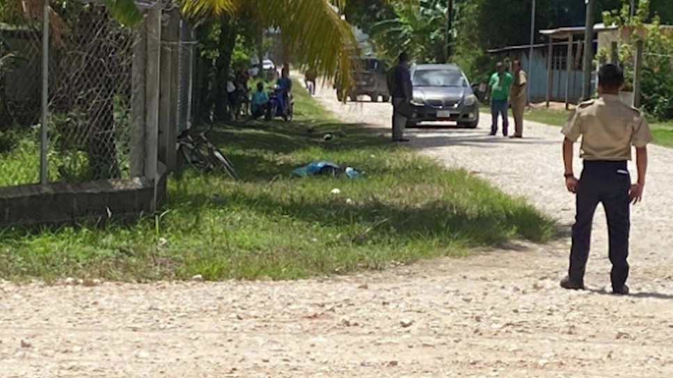 Police Investigate Fatal Bella Vista Stabbing