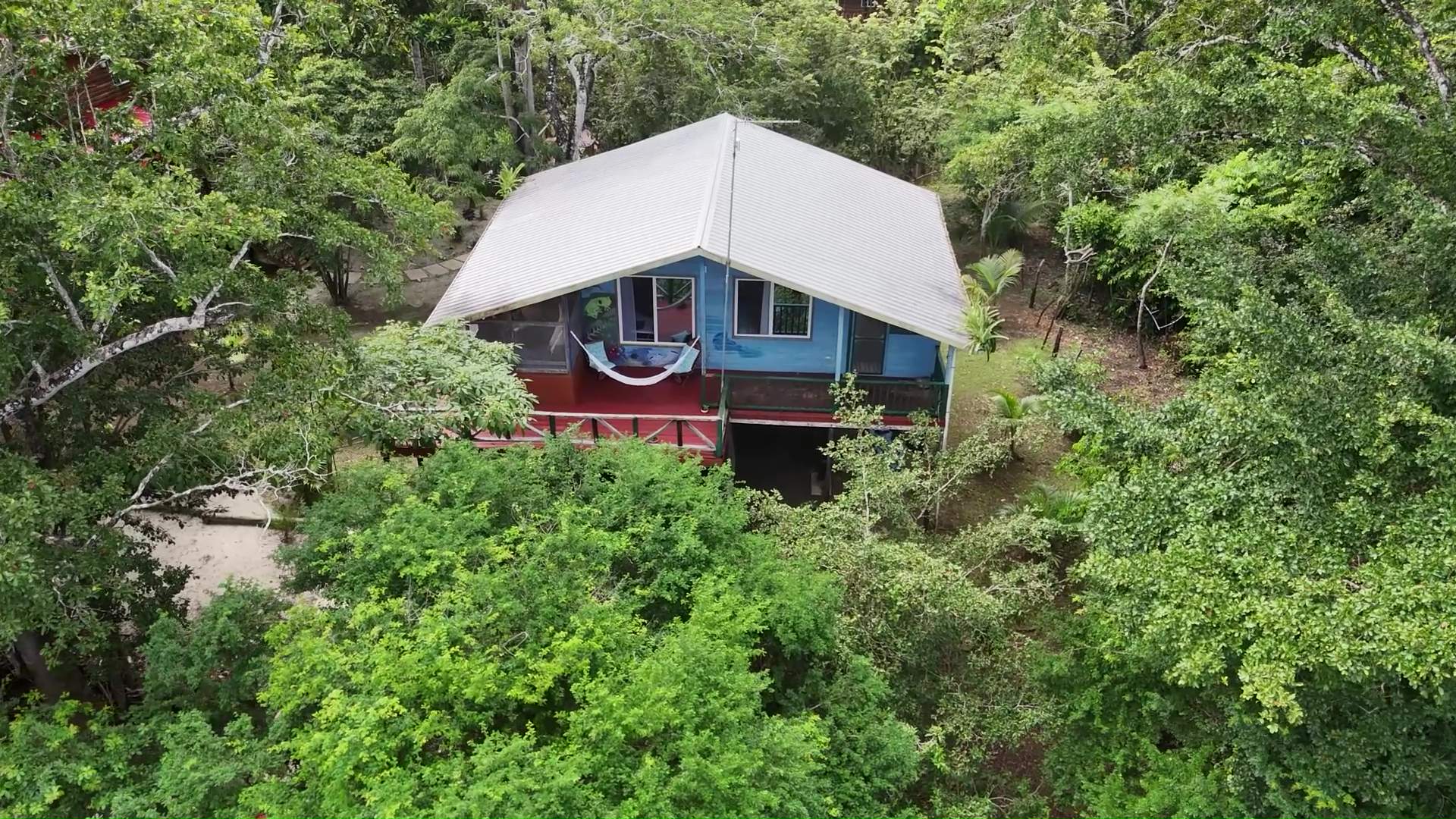 From Paradise to Legal Battle: Howler Jungle House Dispute Turns Ugly