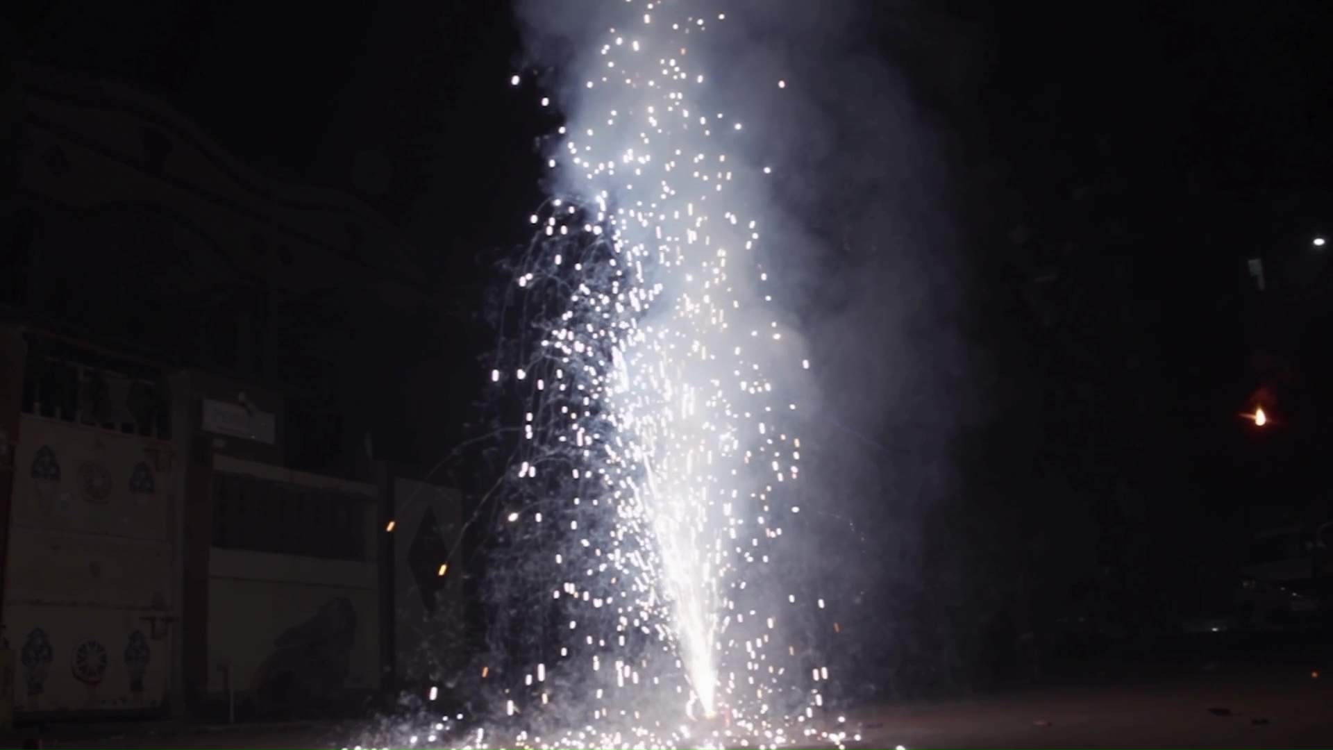 Fireworks Bring Joy to Us, But Fear to Our Pets