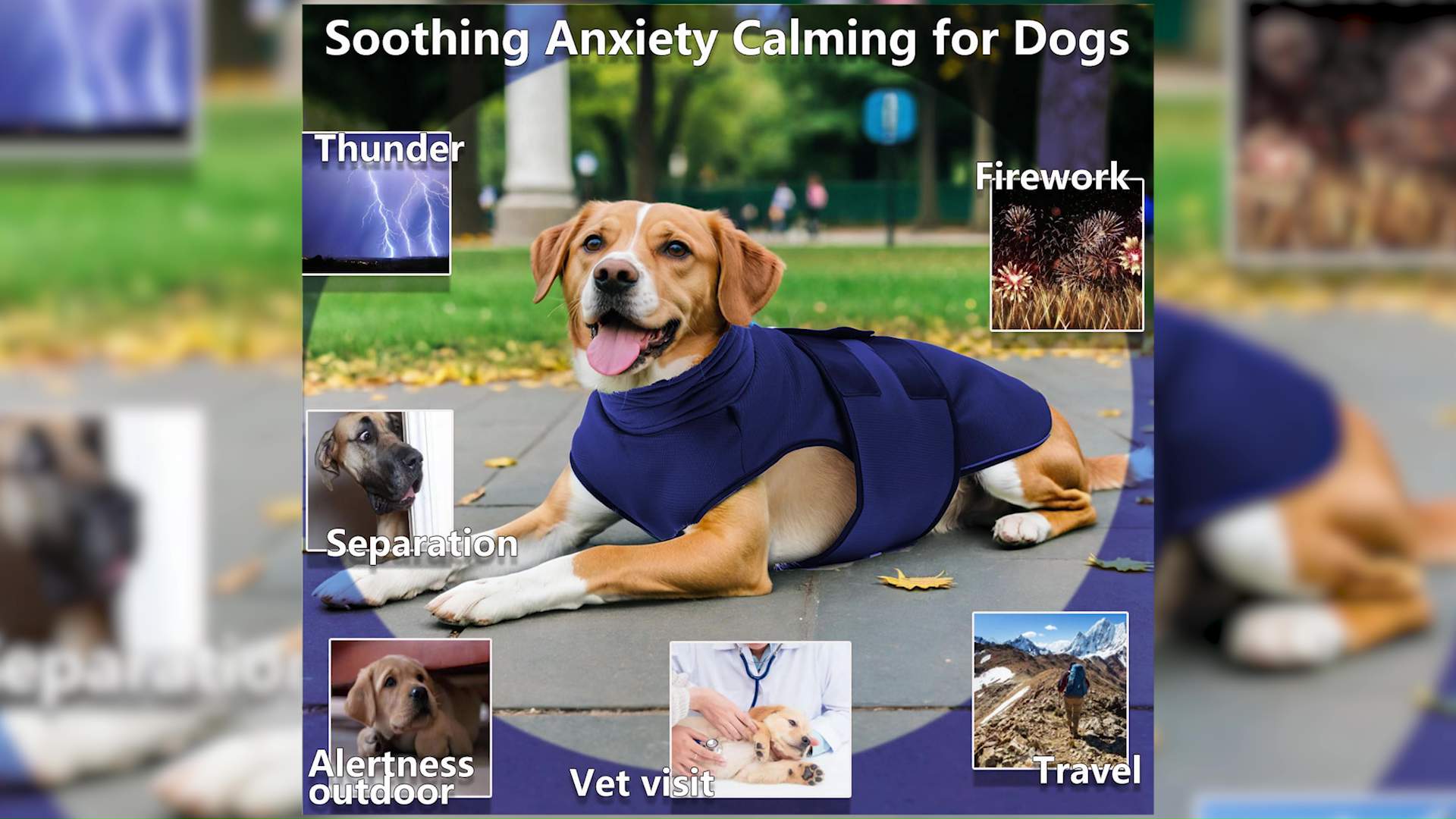 Keeping Pets Calm: Advocates Share Fireworks Safety Tips