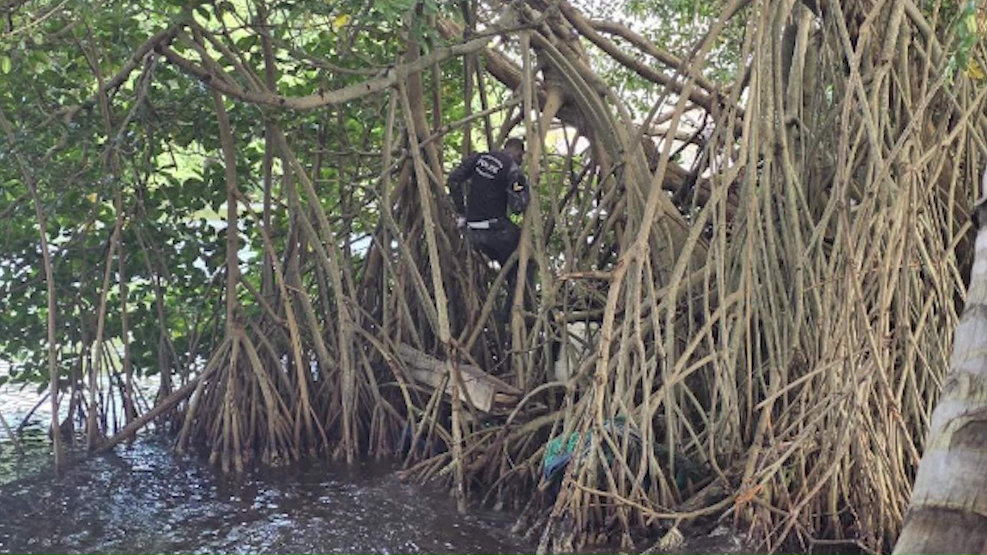 Major Gun and Drug Bust Caps Record Year for Police