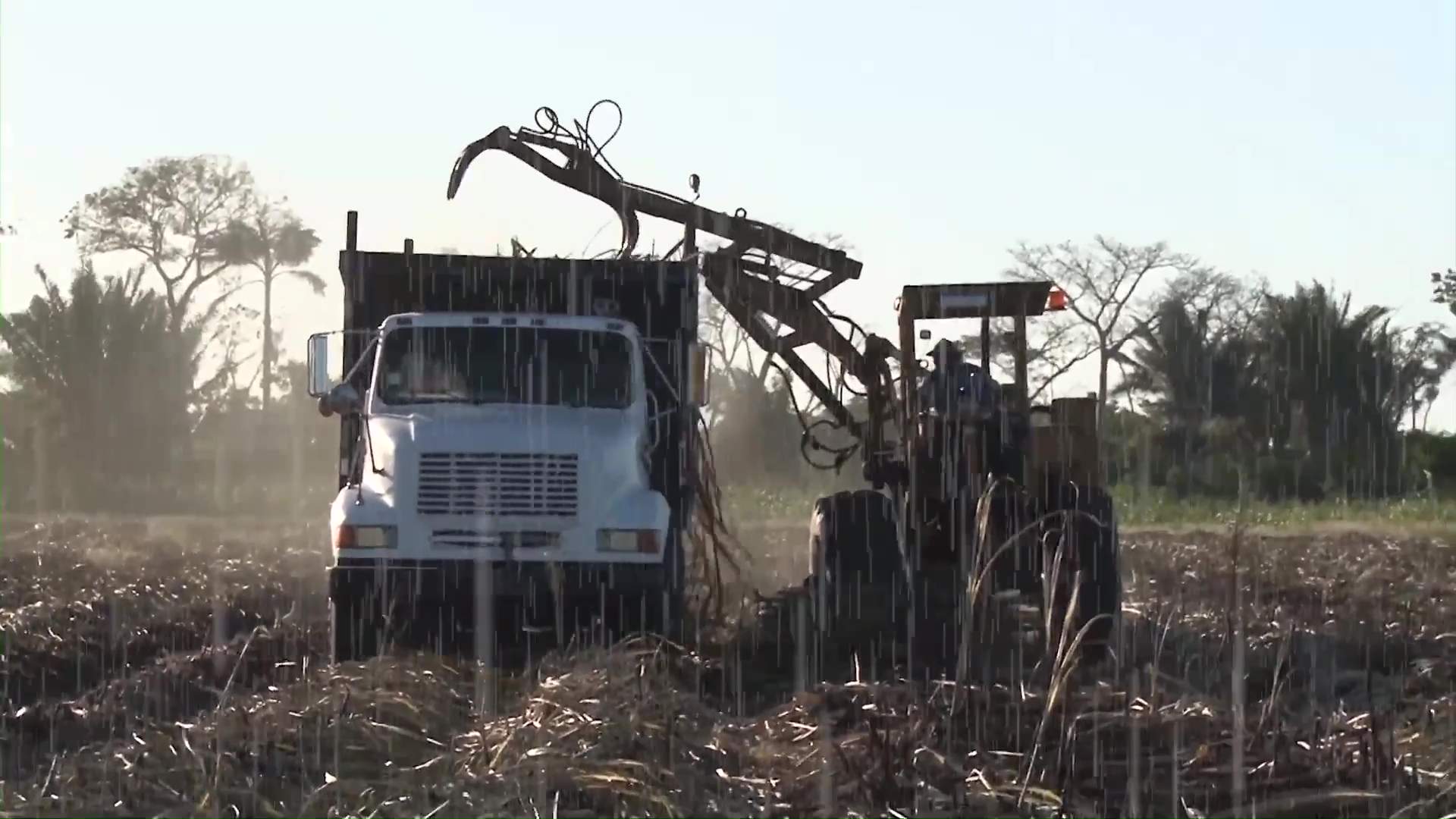 Broken Sugar Roads Leave Cane Farmers Stuck as Budget Falls Short