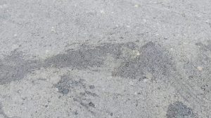 Voice of: Maya Center Resident