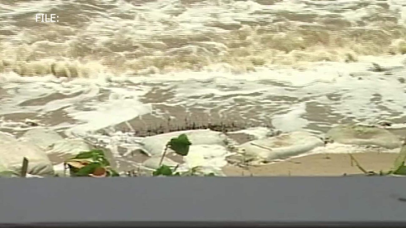 Shoreline Rescue Effort Begins in Monkey River  