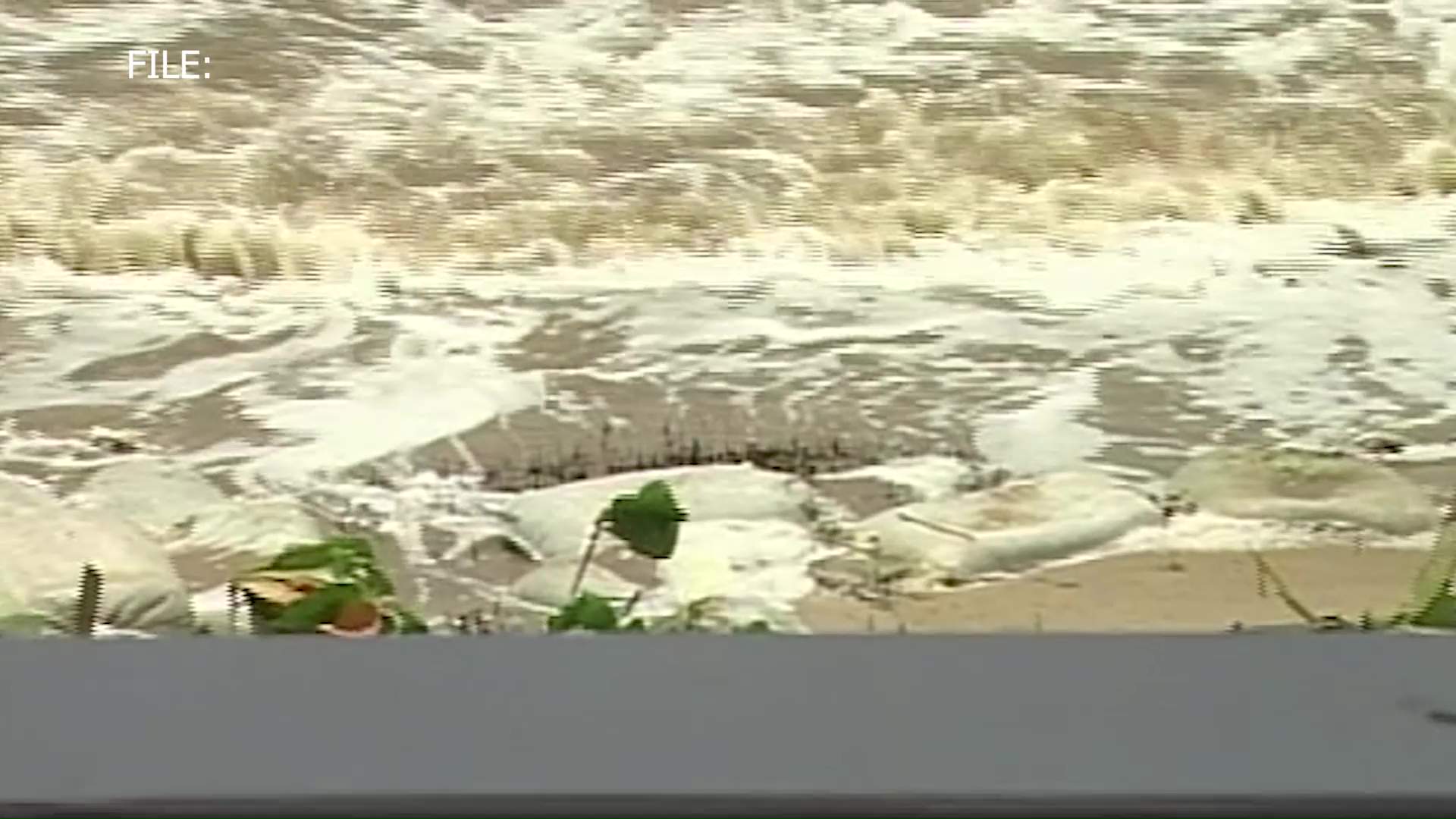 Shoreline Rescue Effort Begins in Monkey River  