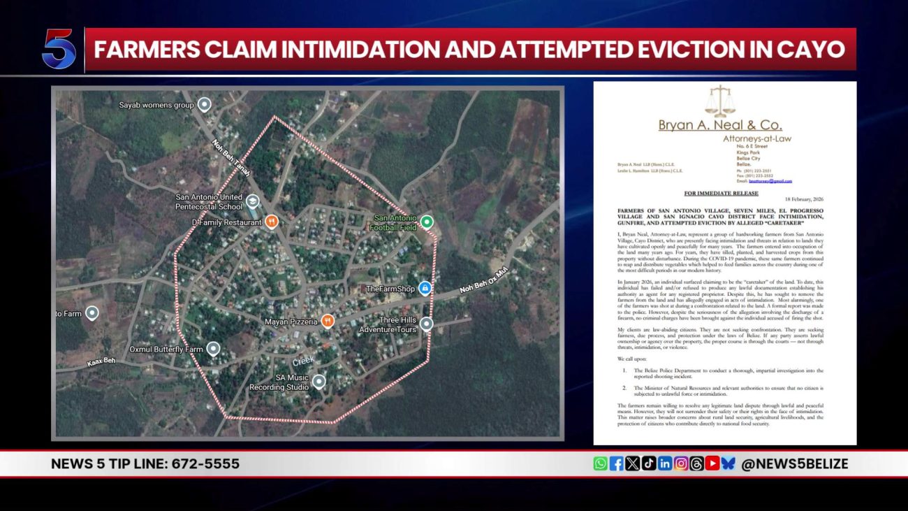 Farmers in Cayo Report Gunfire and Intimidation in Land Dispute