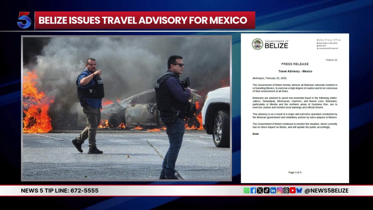 Ambassador Arnold Urges Car Dealers: Delay Mexico Drive