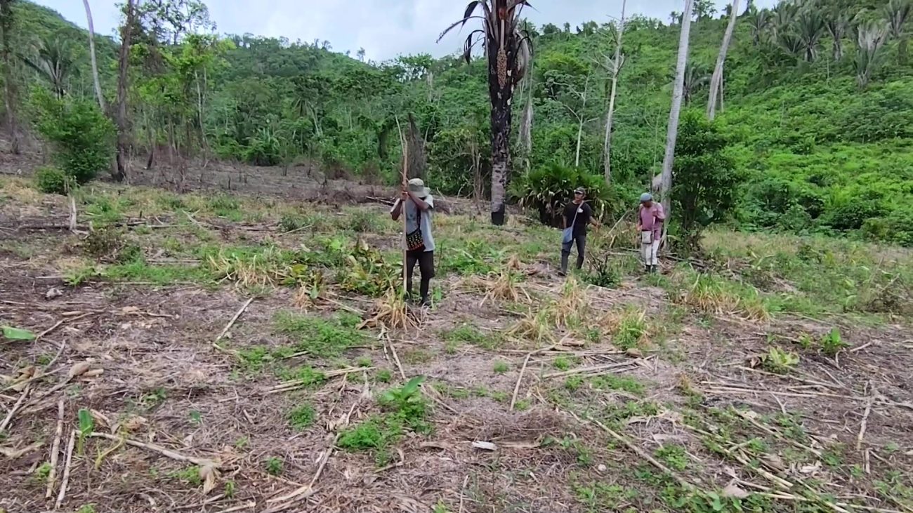 Belize Among Most Aggressive In Pursuit of Climate Funds