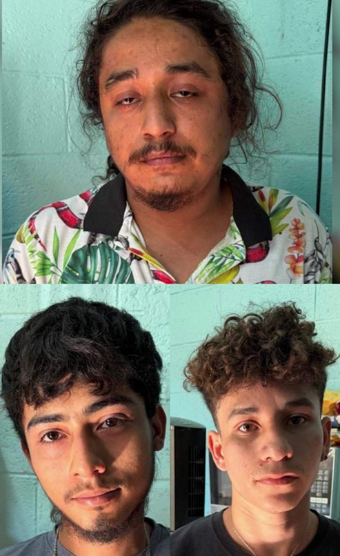 Four Charged After Las Flores Drug Bust